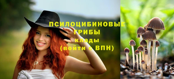 сатива Алзамай