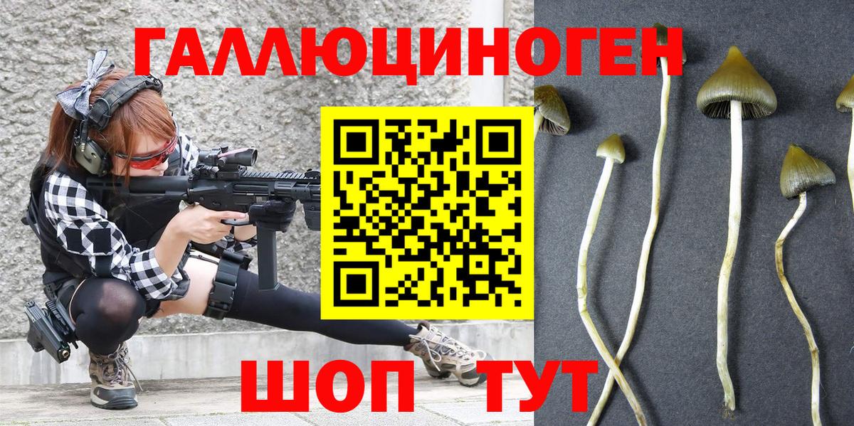 Псилоцибиновые грибы ЛСД  Вход с VPN  Галлюциногенные грибы прущие грибы  Камень-на-Оби 